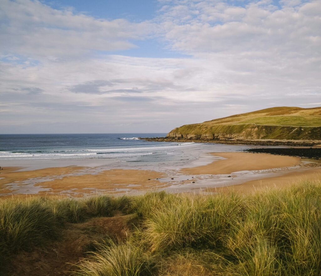 paulina herpel v6e4lyyokrc unsplash